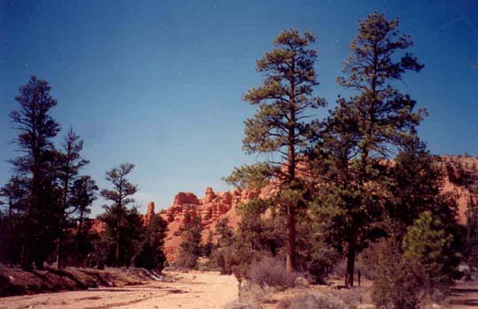 17 Red Canyon