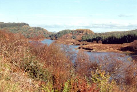 Daill Loch from SW