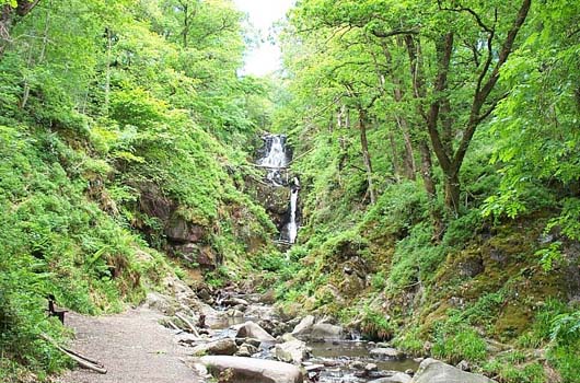 16 Aira Force