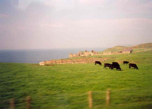 Dunluce Castle