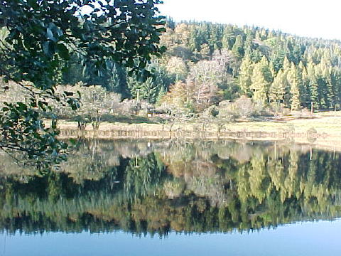 04 Autumn reflections 2003 03