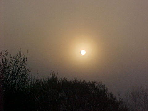 25 Sun rising through mist