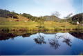 11 Crinan Canal, early summer morning