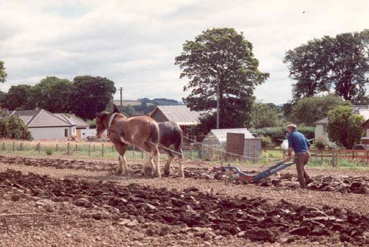 09 Heavy Horse Centre