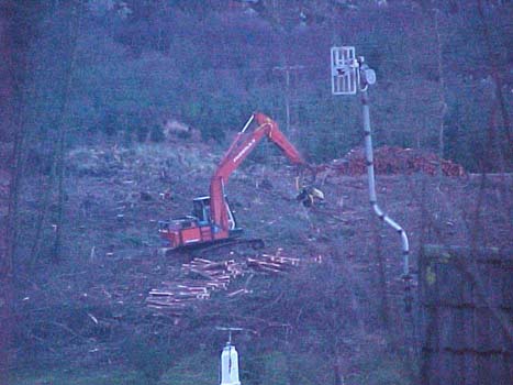 46 Felling trees beside the Crinan Canal