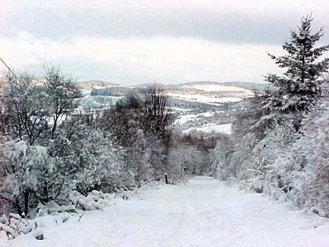 50 Near Lochgilphead